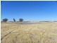 ‘Mallee Downs’ Lot 355 O’neill Road, Mills Lake WA 6336