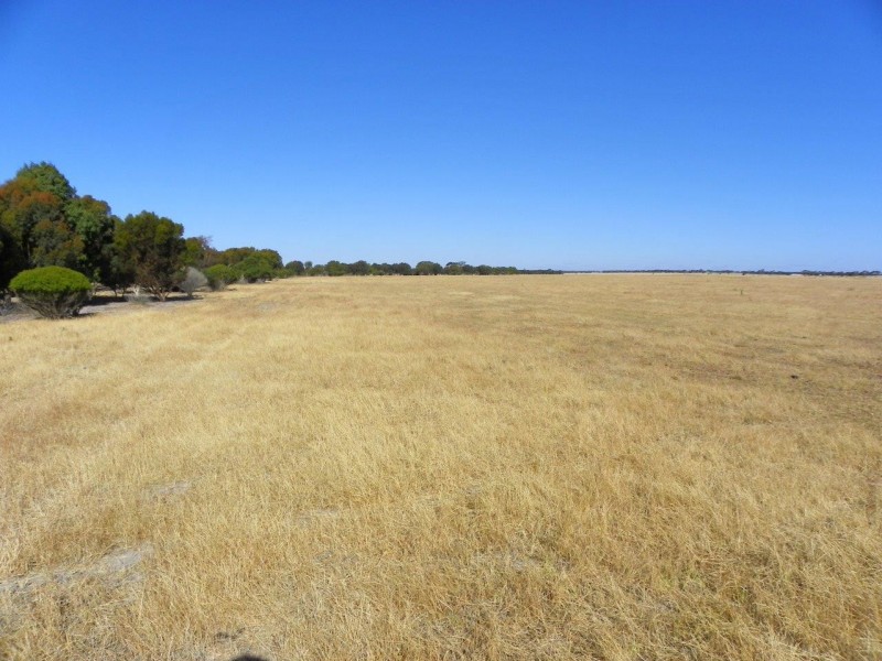 ‘Mallee Downs’ Lot 355 O’neill Road, Mills Lake WA 6336