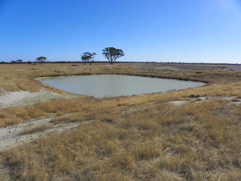 ‘Mallee Downs’ Lot 355 O’neill Road, Mills Lake WA 6336