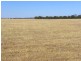 ‘Mallee Downs’ Lot 355 O’neill Road, Mills Lake WA 6336