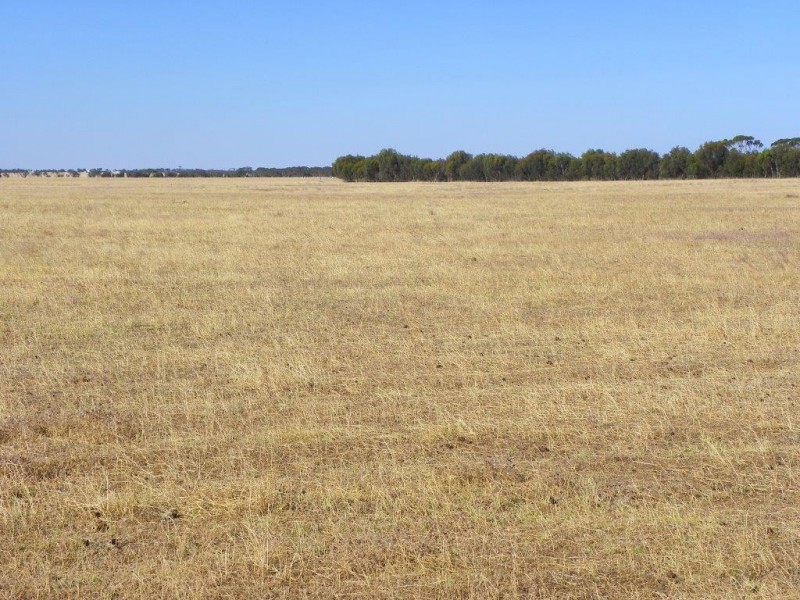 ‘Mallee Downs’ Lot 355 O’neill Road, Mills Lake WA 6336
