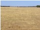 ‘Mallee Downs’ Lot 355 O’neill Road, Mills Lake WA 6336