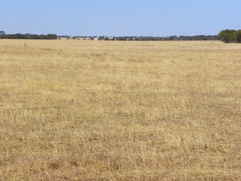 ‘Mallee Downs’ Lot 355 O’neill Road, Mills Lake WA 6336