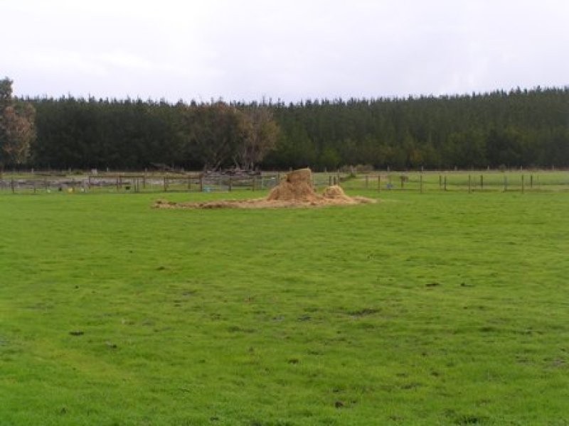 Lot 4 Forestry Road, Myalup WA 6220