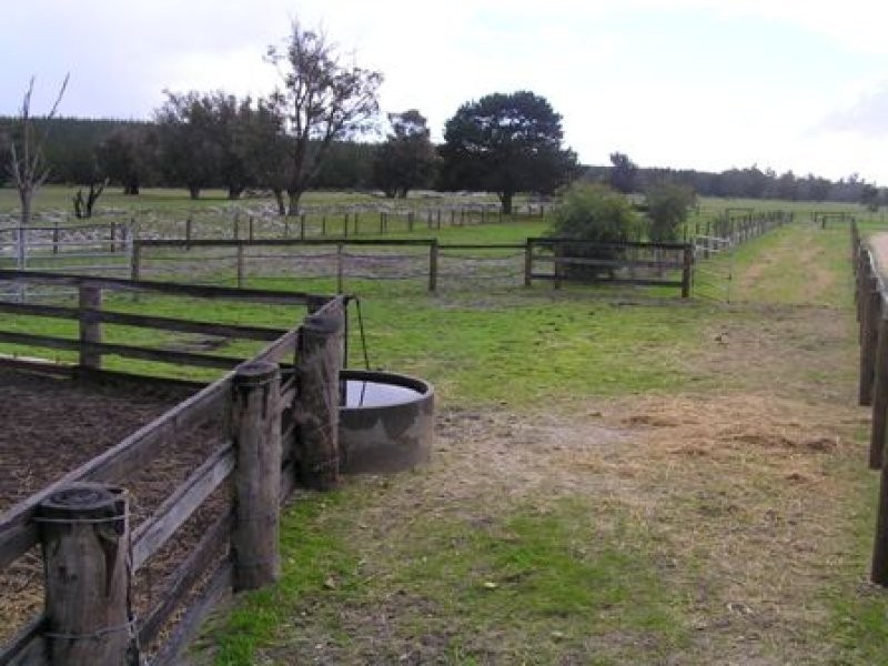 Lot 4 Forestry Road, Myalup WA 6220