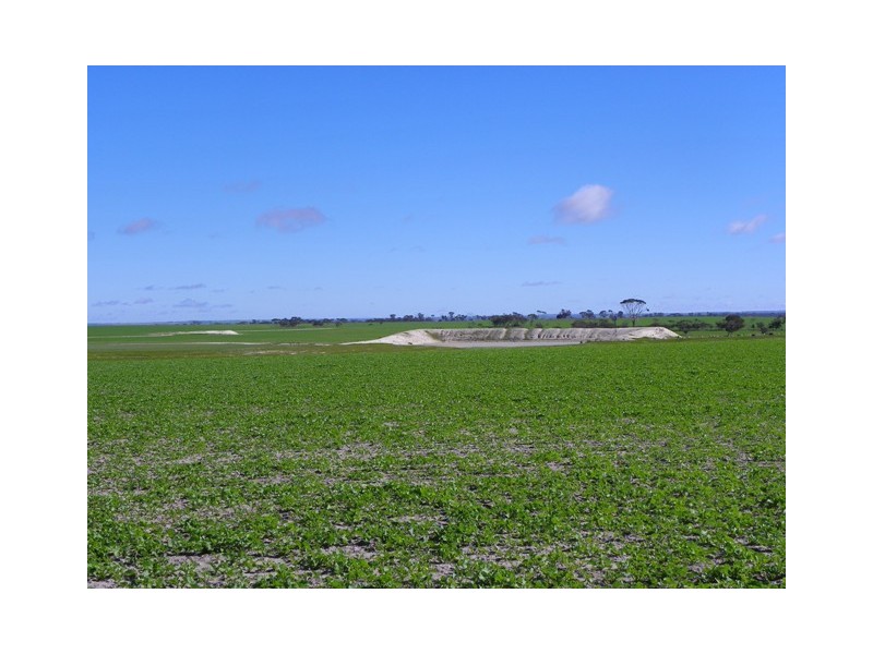 ‘Pendalup’ 290 Pendalup Road, Toompup WA 6336