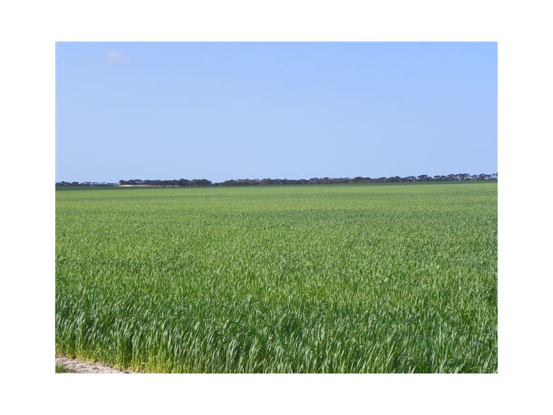 ‘Pingarnup Estate’ Martens Road, Pingrup WA 6343