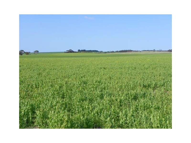 ‘Pingarnup Estate’ Martens Road, Pingrup WA 6343