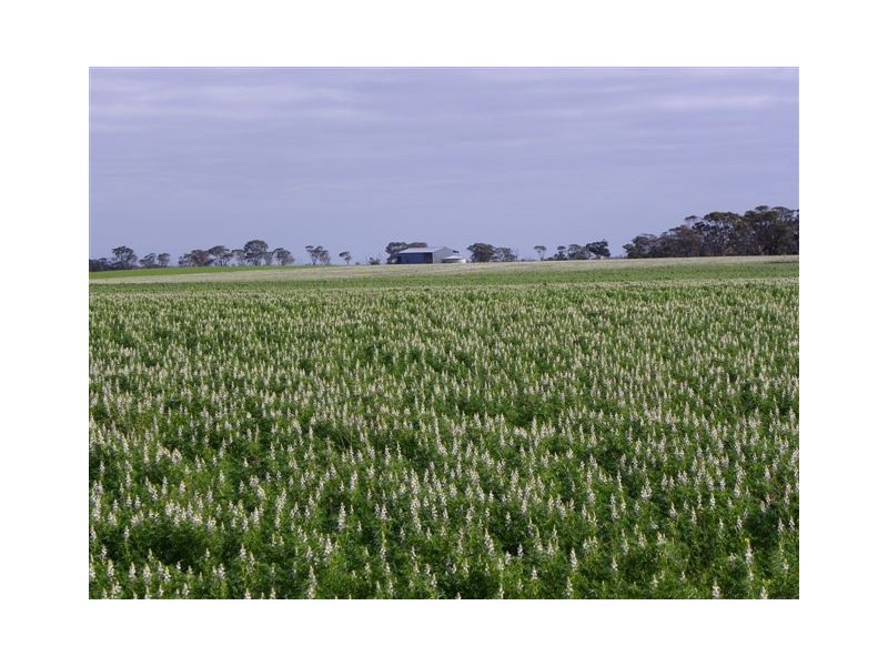 ‘Pingarnup Estate’ Martens Road, Pingrup WA 6343