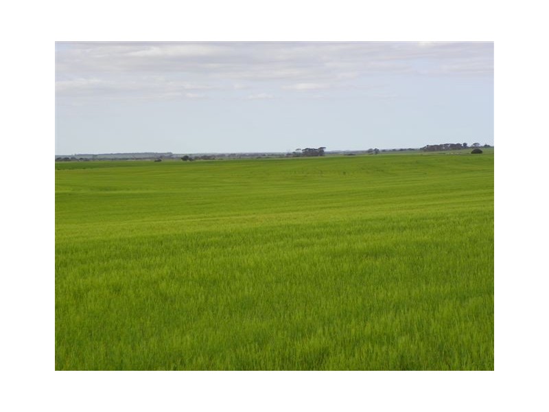 ‘Pingarnup Estate’ Martens Road, Pingrup WA 6343