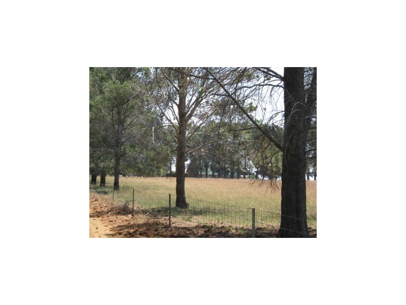 Lot 1435 South Coast Hwy, Dalyup WA 6450