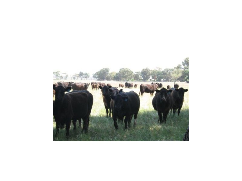 Lot 1435 South Coast Hwy, Dalyup WA 6450