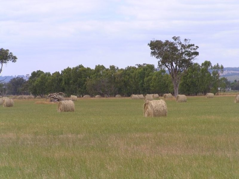 Lot 46 Fouracre Road, Harvey WA 6220