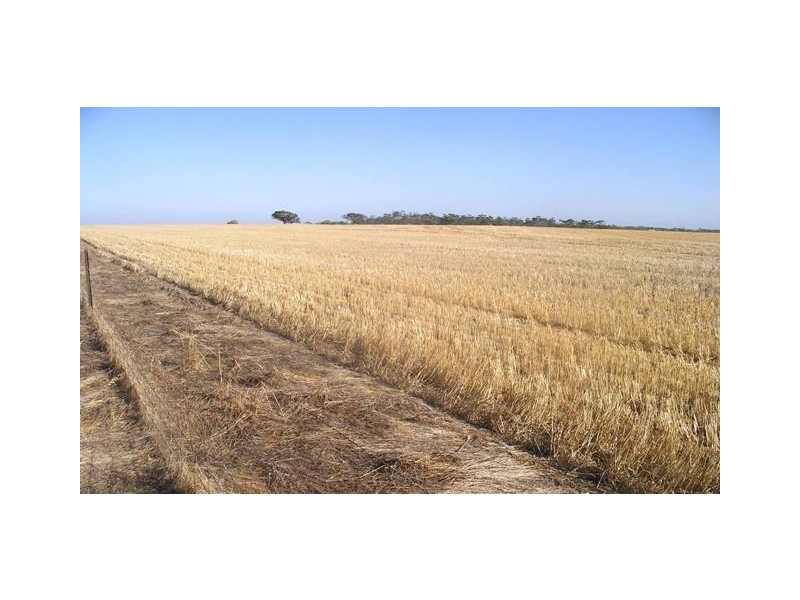 ‘Dromees’ Scott and Martin Roads, Watheroo WA 6513