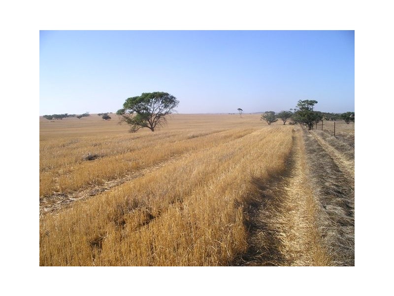 ‘Dromees’ Scott and Martin Roads, Watheroo WA 6513