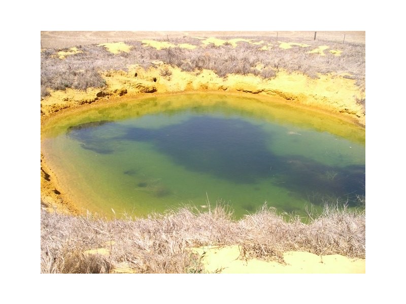 ‘Dromees’ Scott and Martin Roads, Watheroo WA 6513