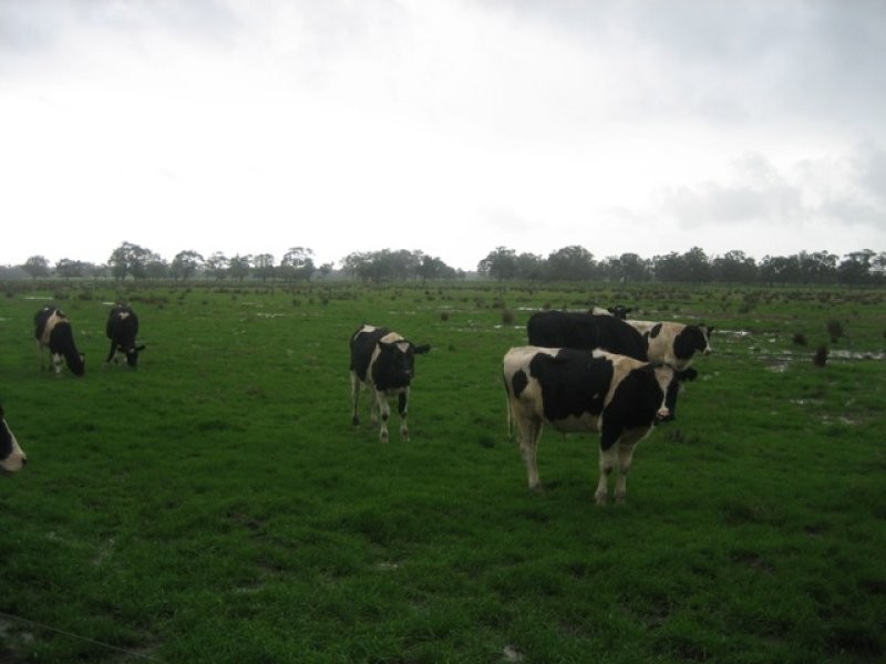 ‘Campbells’ Melville Road, Brunswick WA 6224