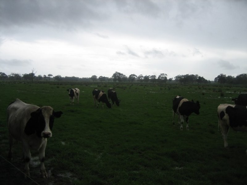 ‘Campbells’ Melville Road, Brunswick WA 6224