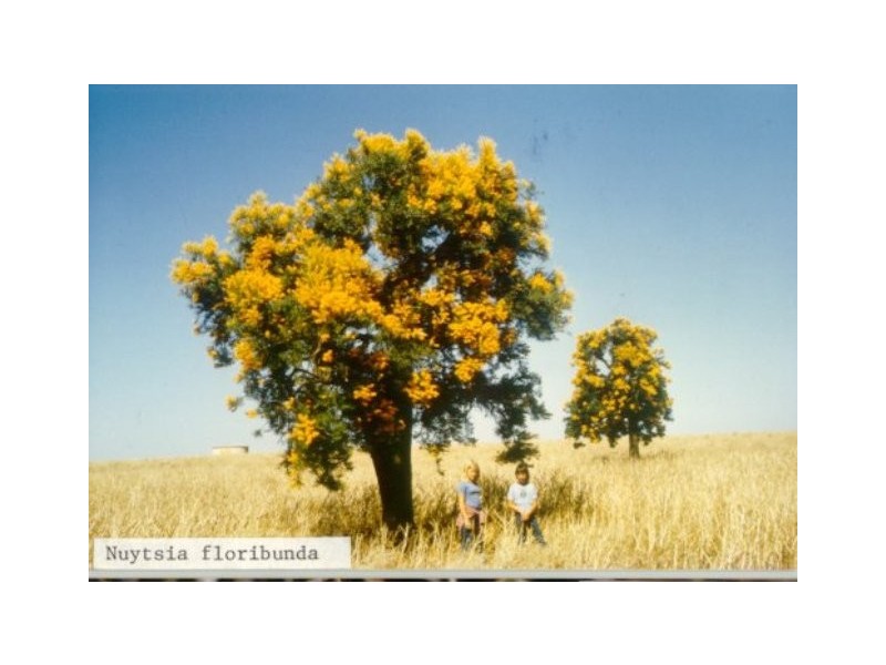 Lot 21 Namban West Road, Namban WA 6512