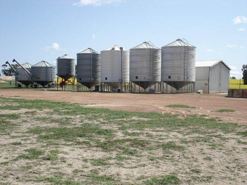 ‘Tama’ 101 Bartlett Road, Watheroo WA 6513