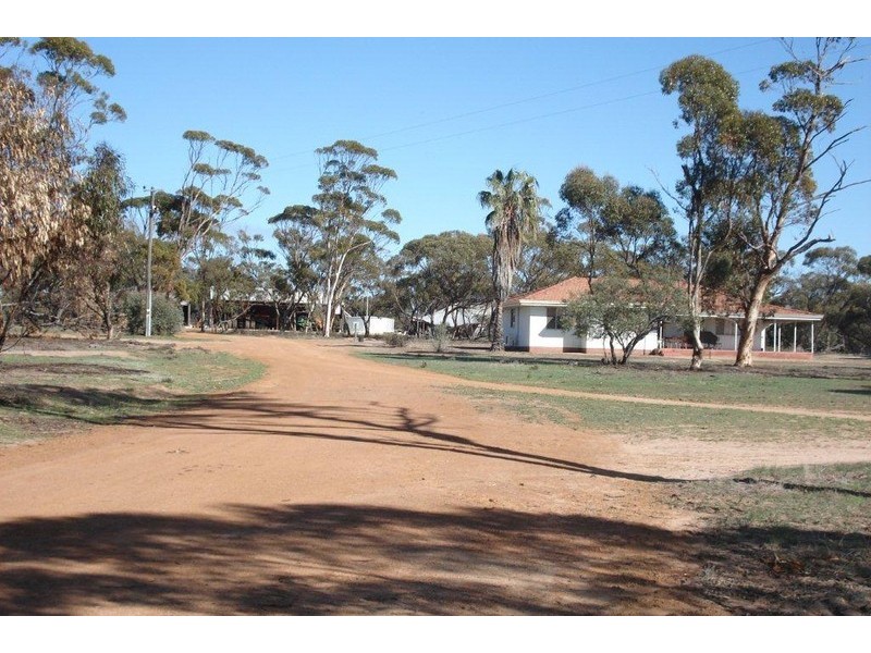 ‘Tama’ 101 Bartlett Road, Watheroo WA 6513