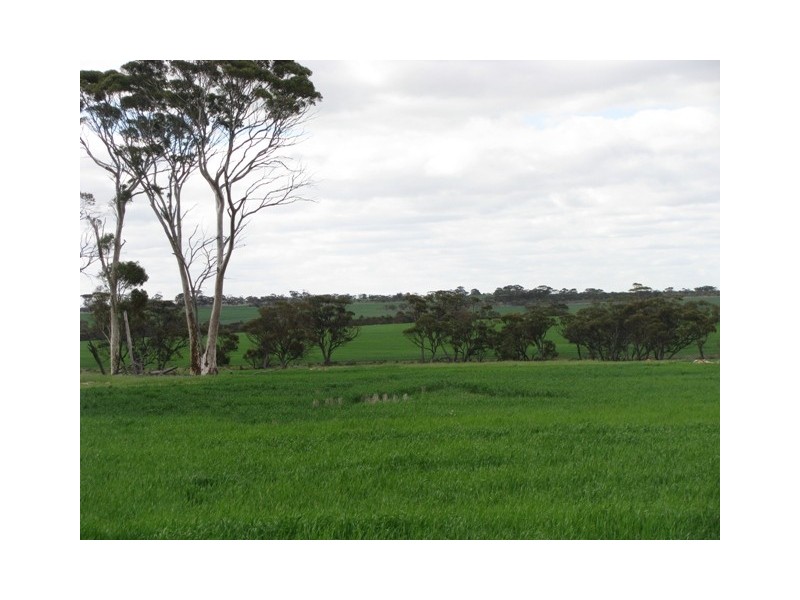 ‘The Block’ 101 Ballidu Road, Bindi Bindi WA 6574