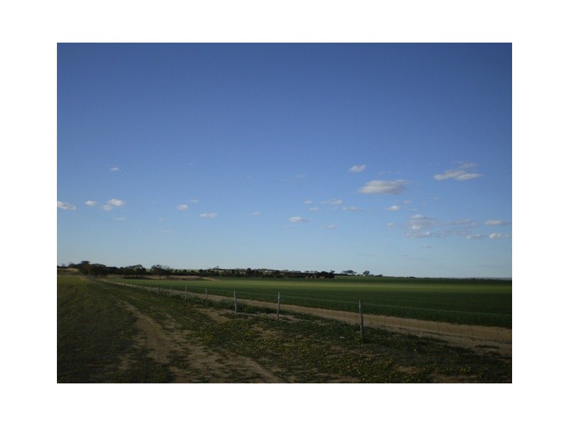 . Boodarockin Rd, Westonia WA 6423