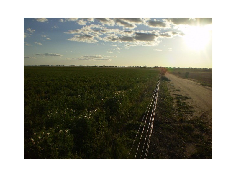 . Boodarockin Rd, Westonia WA 6423