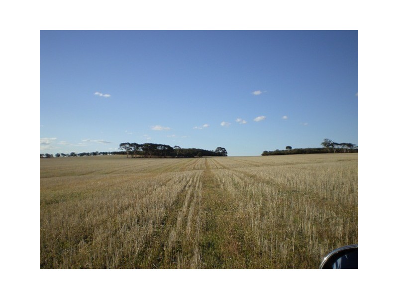 . Boodarockin Rd, Westonia WA 6423