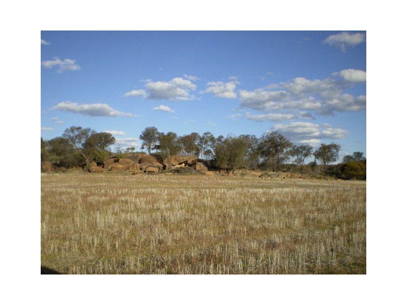 . Boodarockin Rd, Westonia WA 6423