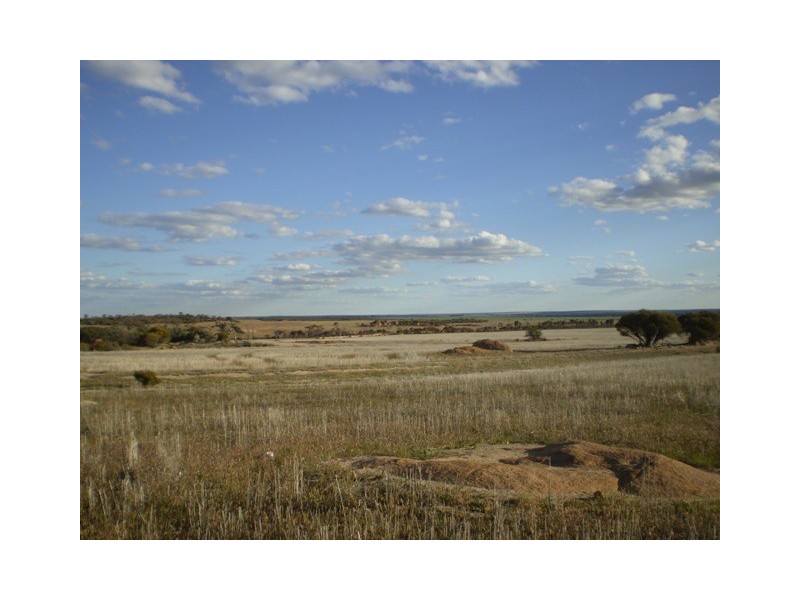 . Boodarockin Rd, Westonia WA 6423