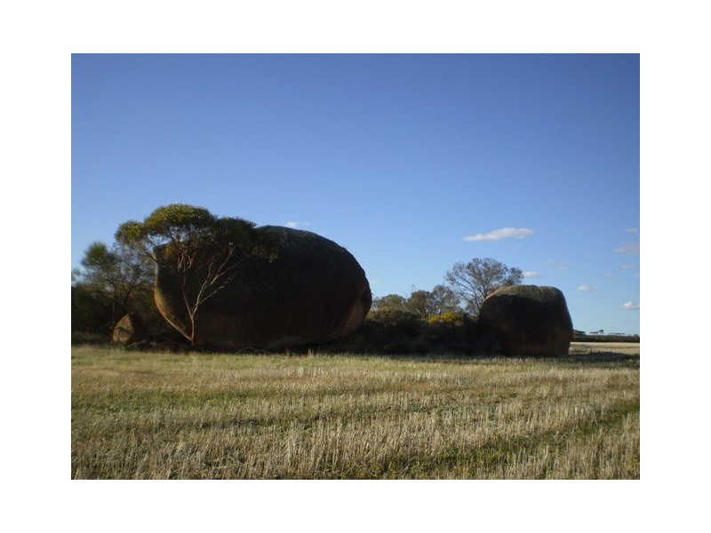 . Boodarockin Rd, Westonia WA 6423