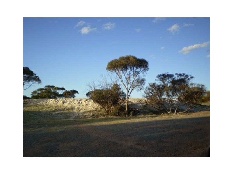 . Boodarockin Rd, Westonia WA 6423