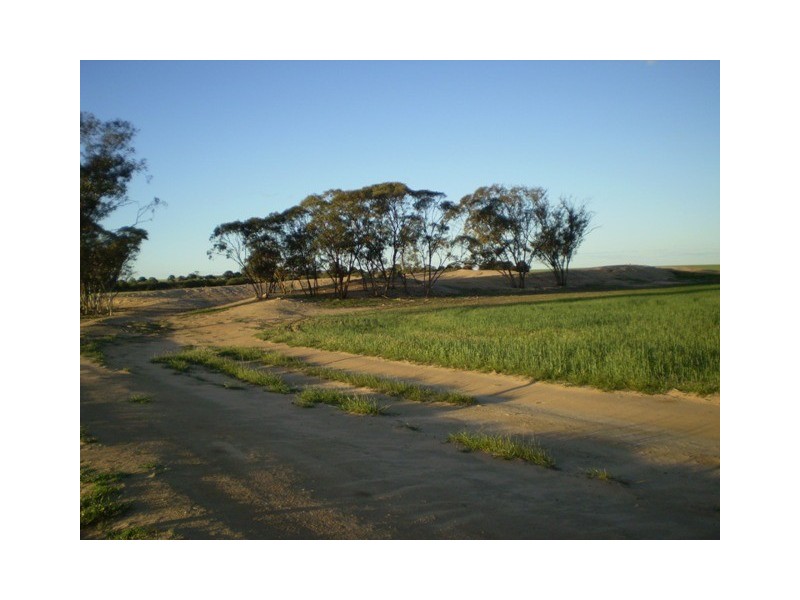 . Boodarockin Rd, Westonia WA 6423