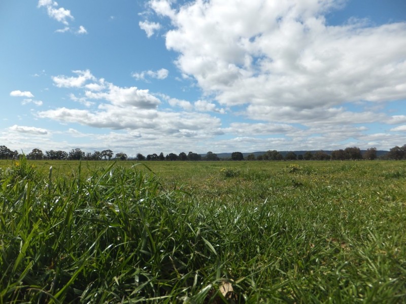 Lot 41 Huxley Road, Yarloop WA 6218