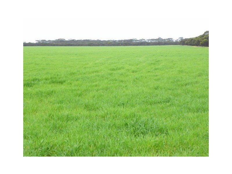 ‘Southwark Soaks’ Needilup Road, Needilup WA 6336