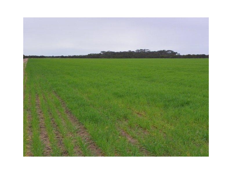 ‘Southwark Soaks’ Needilup Road, Needilup WA 6336