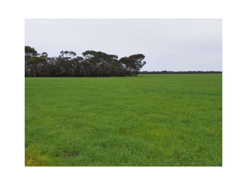 ‘Southwark Soaks’ Needilup Road, Needilup WA 6336