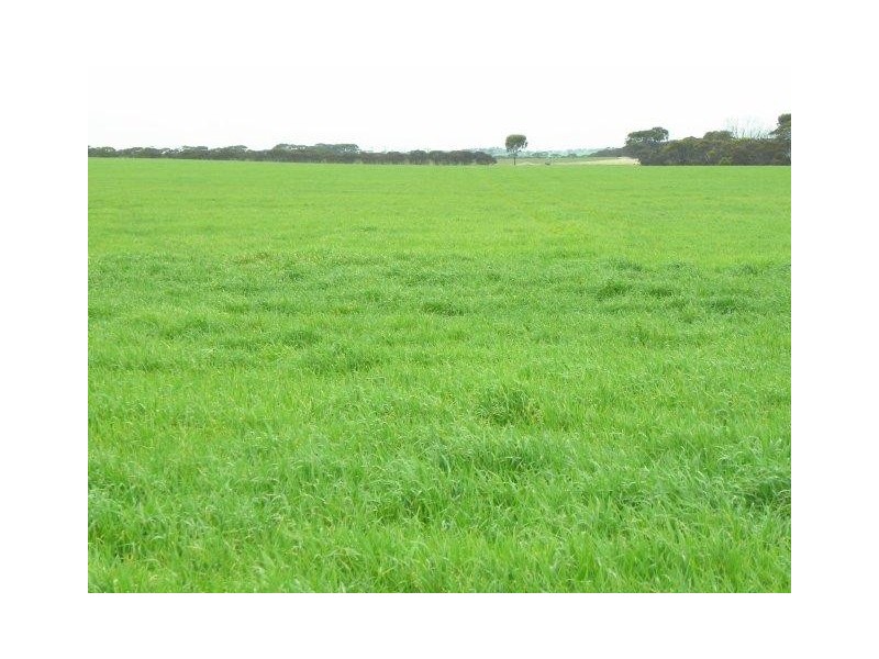 ‘Southwark Soaks’ Needilup Road, Needilup WA 6336