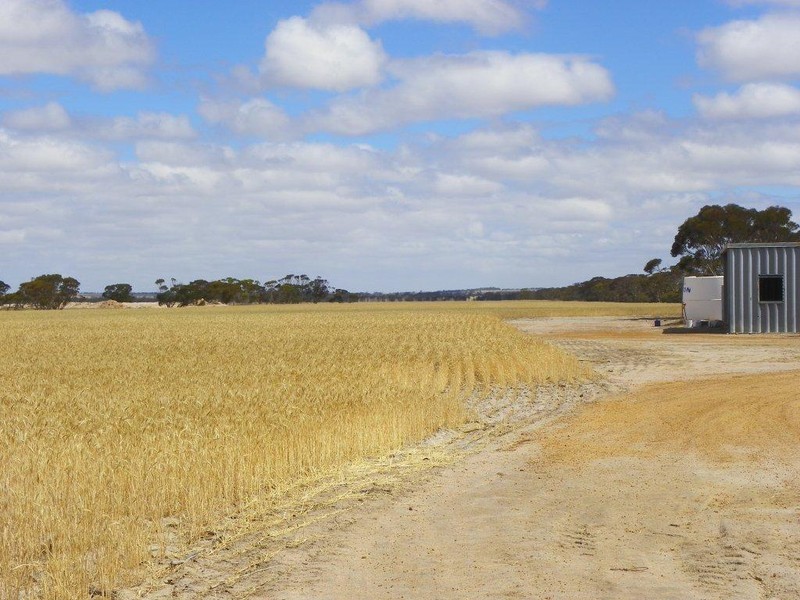 ‘Southwark Soaks’ Needilup Road, Needilup WA 6336