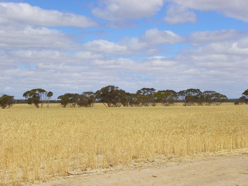 ‘Southwark Soaks’ Needilup Road, Needilup WA 6336