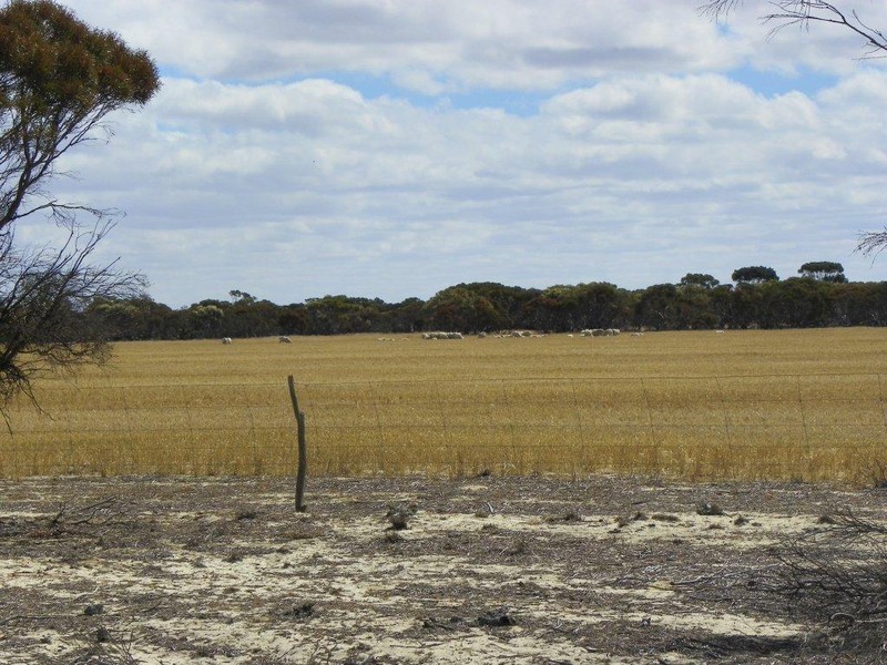 ‘Southwark Soaks’ Needilup Road, Needilup WA 6336