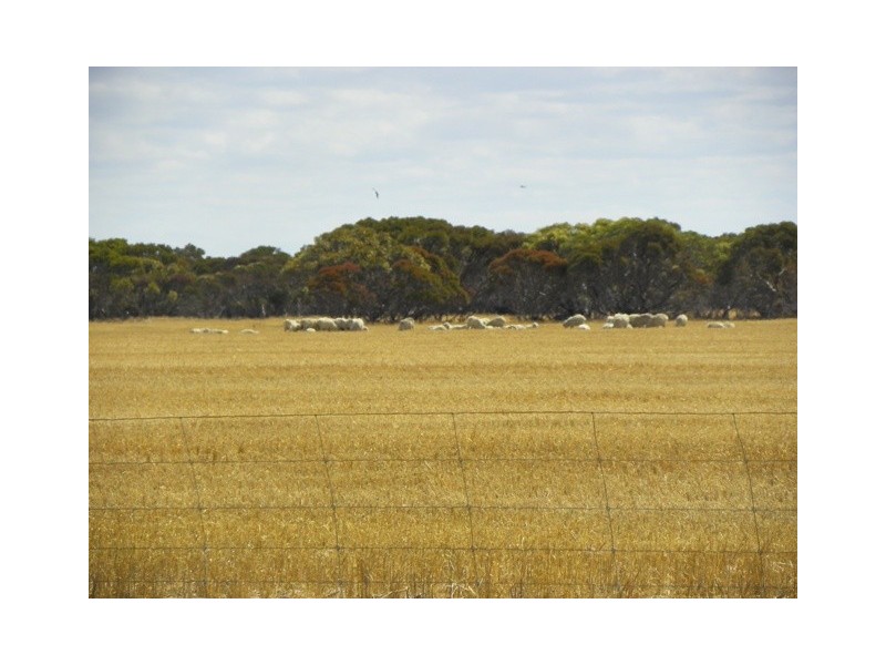 ‘Southwark Soaks’ Needilup Road, Needilup WA 6336