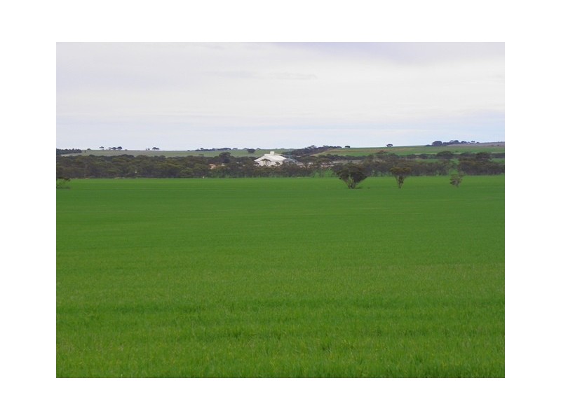 Glengarry 172 Garry Road, Nyabing WA 6341