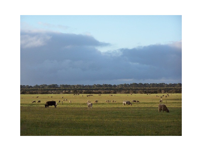 Cnr Cascades and Ashdale Road, Coomalbidgup WA 6450