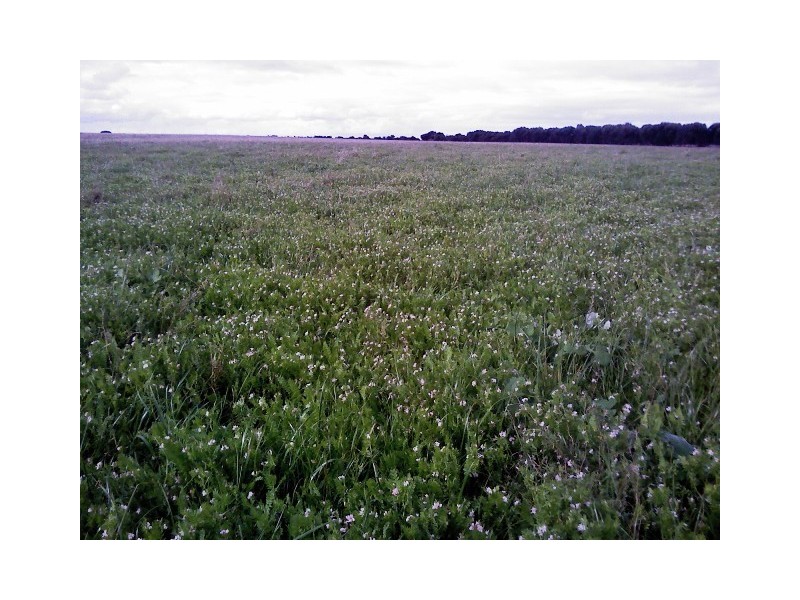 Cnr Cascades and Ashdale Road, Coomalbidgup WA 6450