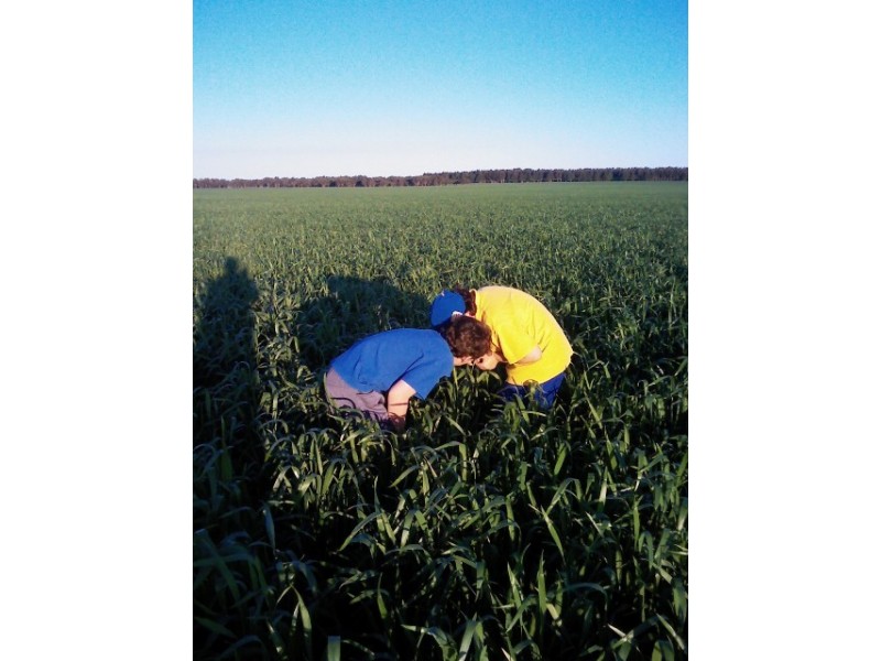 Cnr Cascades and Ashdale Road, Coomalbidgup WA 6450