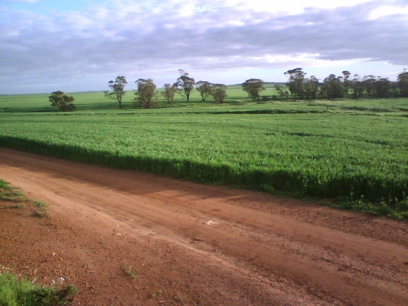 ‘Lakeside’ Carnamah – Eneabba Road, Carnamah WA 6517