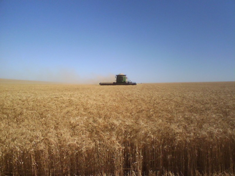 ‘Lakeside’ Carnamah – Eneabba Road, Carnamah WA 6517