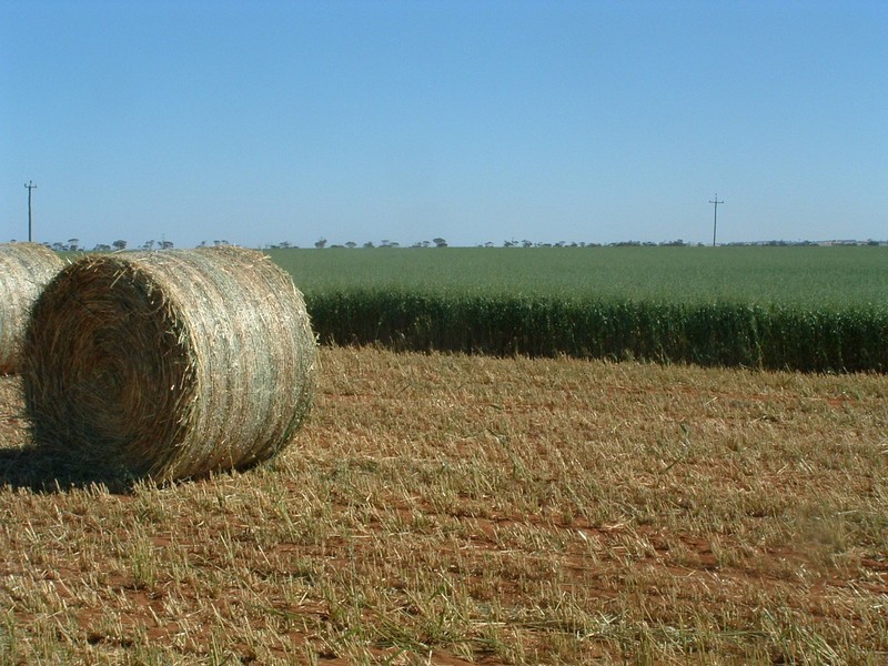 ‘Lakeside’ Carnamah – Eneabba Road, Carnamah WA 6517